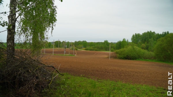 «Первое время спала в обнимку с кочергой». Белоруска сберегла столетний семейный дом — и не жалеет «Первое время спала в обнимку с кочергой». Белоруска сберегла столетний семейный дом — и не жалеет