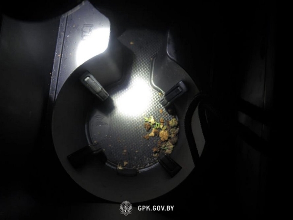 Два случая на границе: в авто на лафете снова нашли запрещенные к провозу вещества Два случая на границе: в авто на лафете снова нашли запрещенные к провозу вещества