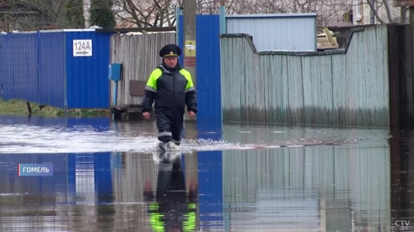 Семья из Гомеля теперь живёт на острове. Как белорусы справляются с крупнейшими паводками? Семья из Гомеля теперь живёт на острове. Как белорусы справляются с крупнейшими паводками?