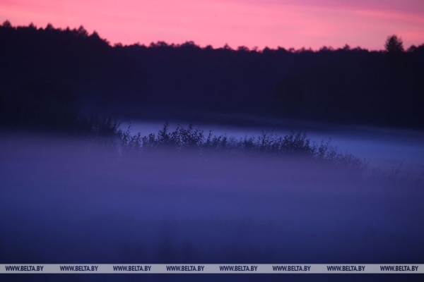 Осеннее утро в Беловежской пуще
