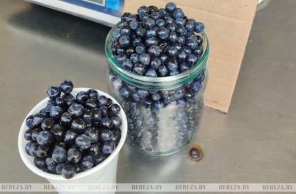 На рынке в Березе появилась черника. Почем? На рынке в Березе появилась черника. Почем?