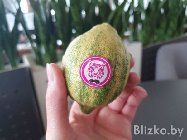 В «Евроопте» появились розовые лимоны В «Евроопте» появились розовые лимоны